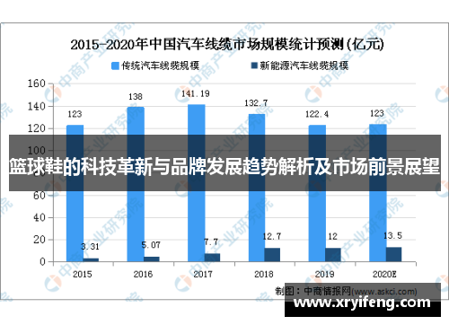 篮球鞋的科技革新与品牌发展趋势解析及市场前景展望